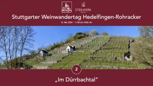 Weinwandertag Hedelfinger und Rohracker Station 2