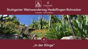 Weinwandertag Hedelfinger und Rohracker Station 6