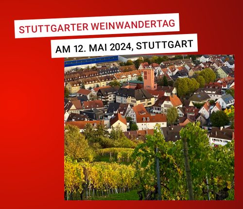Stuttgarter Weinwandertag Hedelfingen Rohracker am 12. Mai 2024