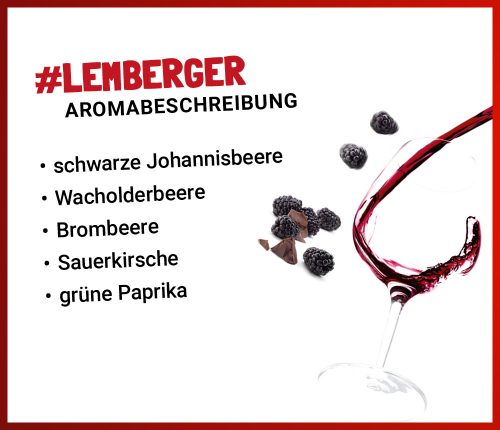Lemberger Weinheimat Blog Aromabeschrjibung
