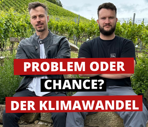 Klimawandel & Weinbau