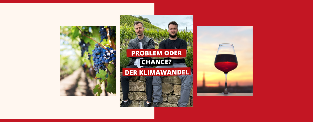 Klimawandel und Weinbau