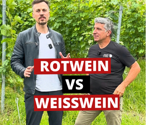 Rotwein vs. Weisswein Weinheimat Blog